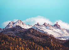 NBA直播-湖南伢子徐彬：正视差距后，中国球员更需要走出去|中国队|亚洲杯|决赛|中国亚洲杯|卫冕冠军_新浪体育_新浪新闻