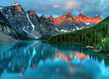 官方：津门虎与方镜淇、哈达斯、黄嘉辉、王献钧完成续约